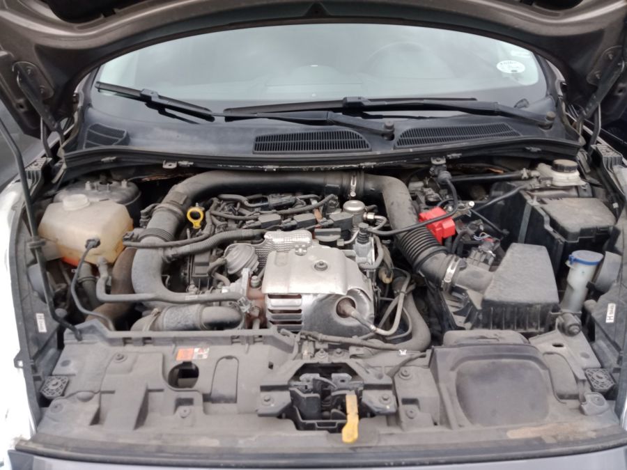 2015 Ford Fiesta - Interior Rear View